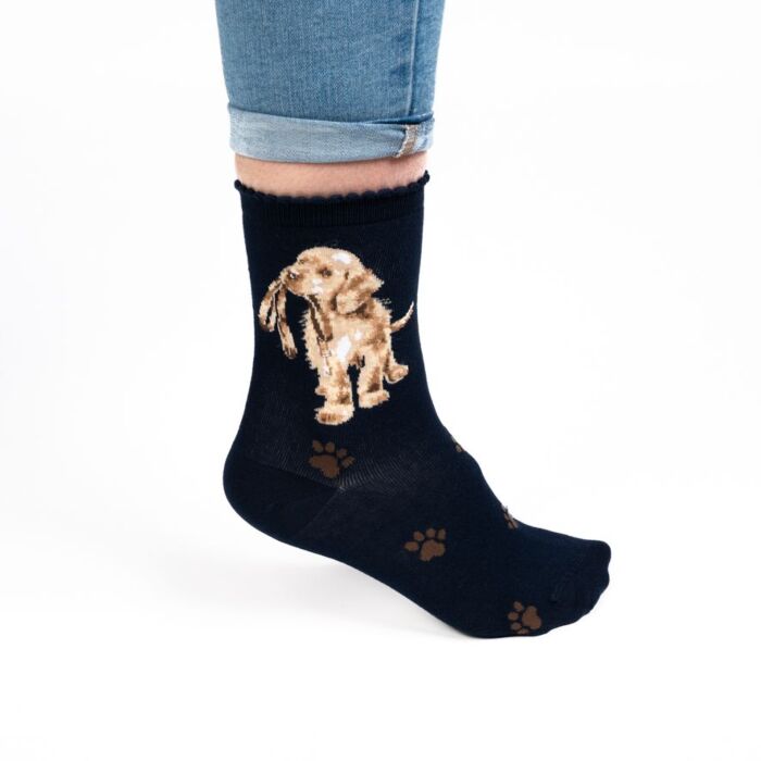 Wrendale Designs "Hopeful" Labrador Socks